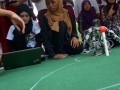 Tn MMFTSM'13  0241